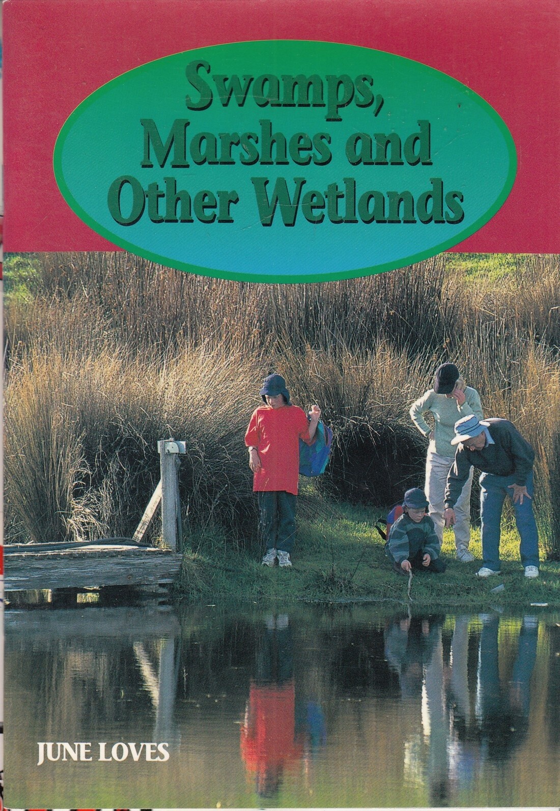 Momentum: Swamps, Marshes and Other Wetlands Ph... - June Loves - Good - Pape...