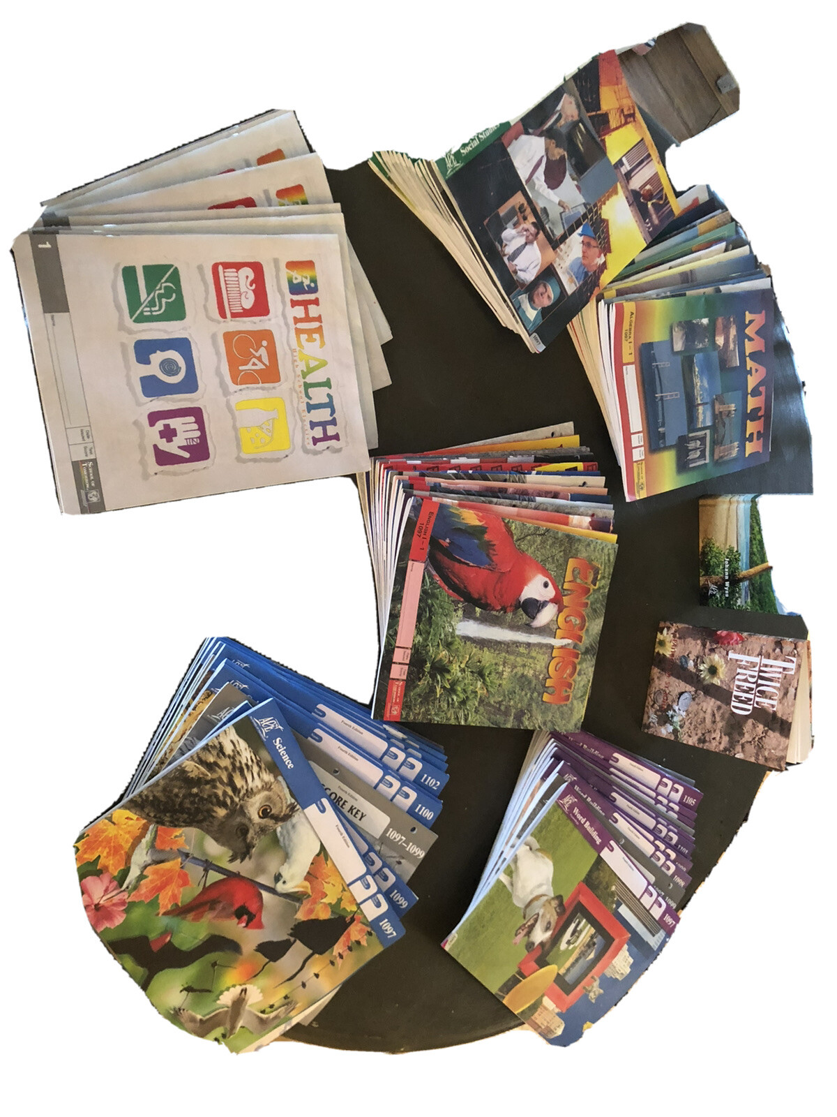 homeschool curriculum