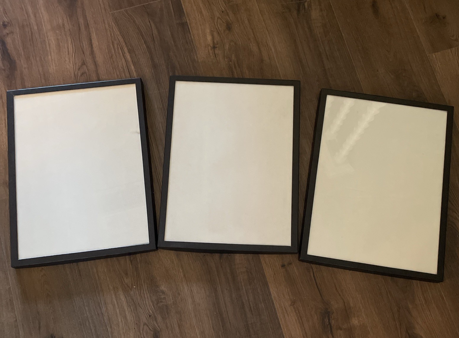 Three 12 x 16 x 3/4 Display Cases Boxes for Collectibles Jewelry & More - NEW