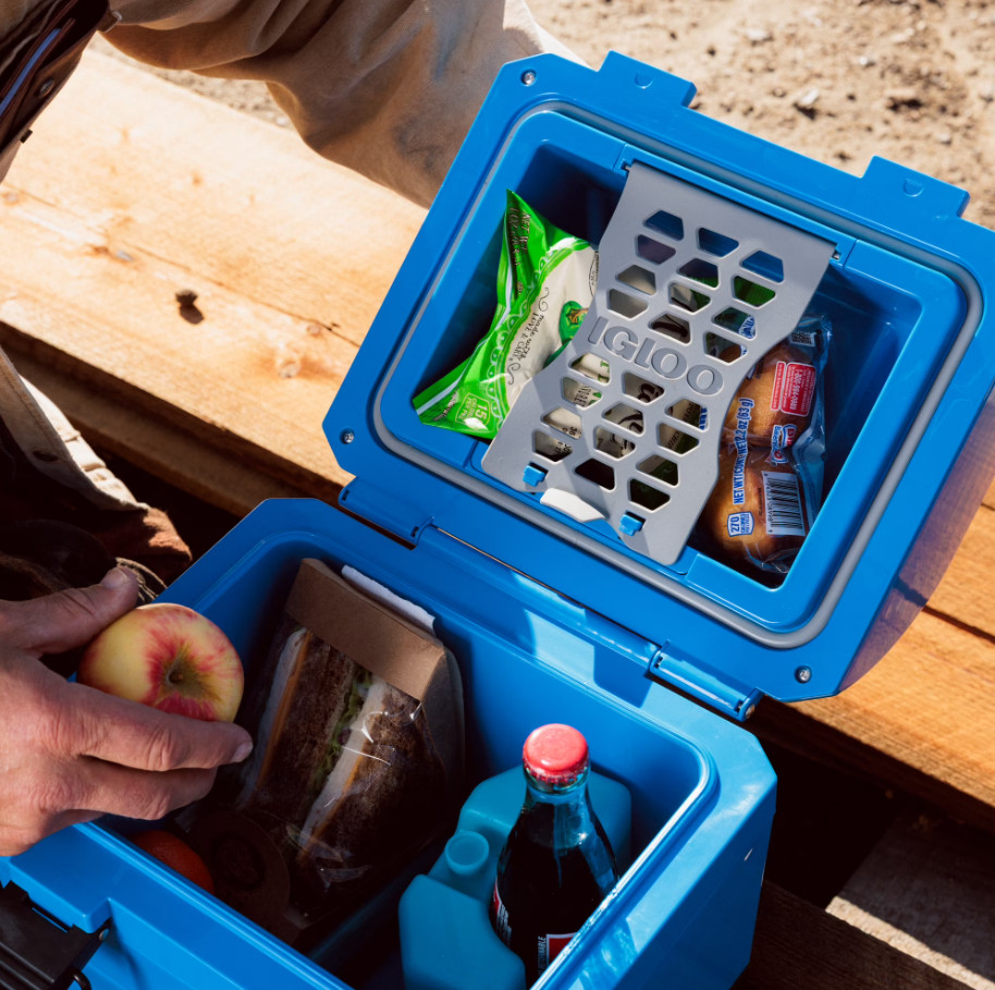 Igloo 10 QT Gripper CoolBox Personal Cooler, Blue