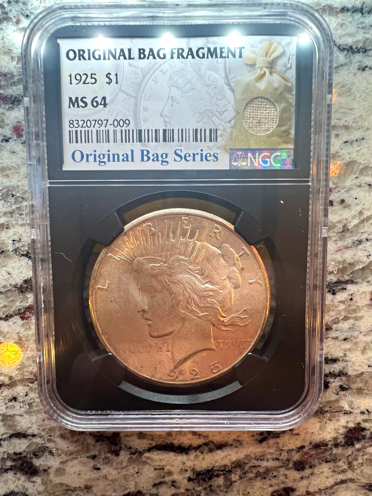 1925 Peace Silver Dollar $1 Philadelphia 0.900 Silver, NGC MS 64, Bag Fragment