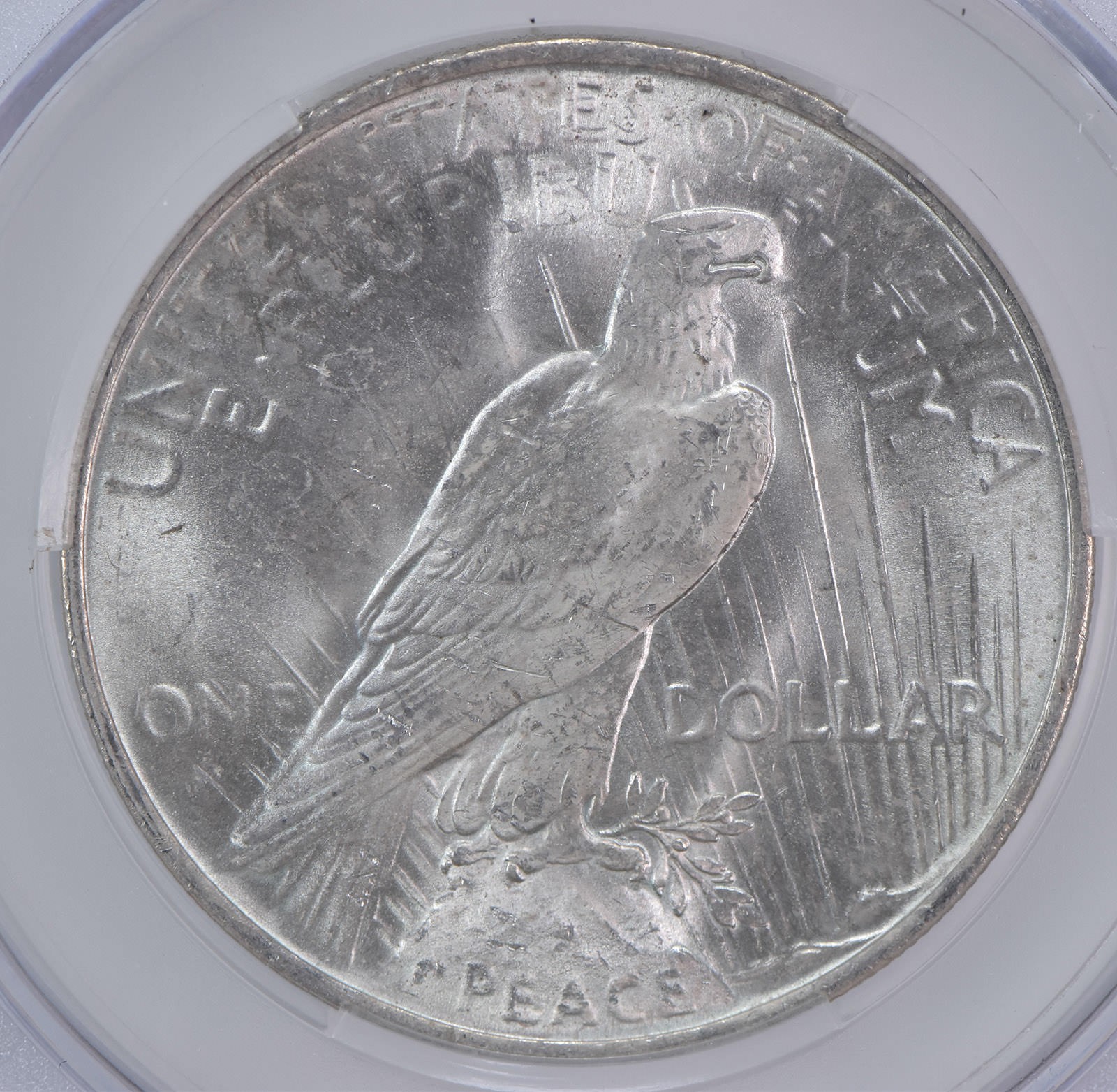 1923 Peace Silver Dollar MS64 CAC CACg