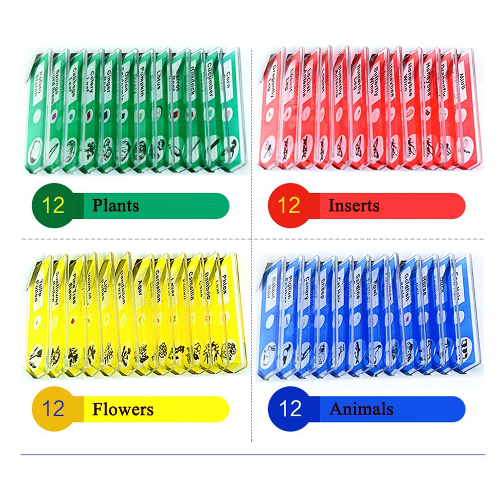 Prepared Microscope Slides, 48pcs Plastic Animals Insects Plants Flowers Sample
