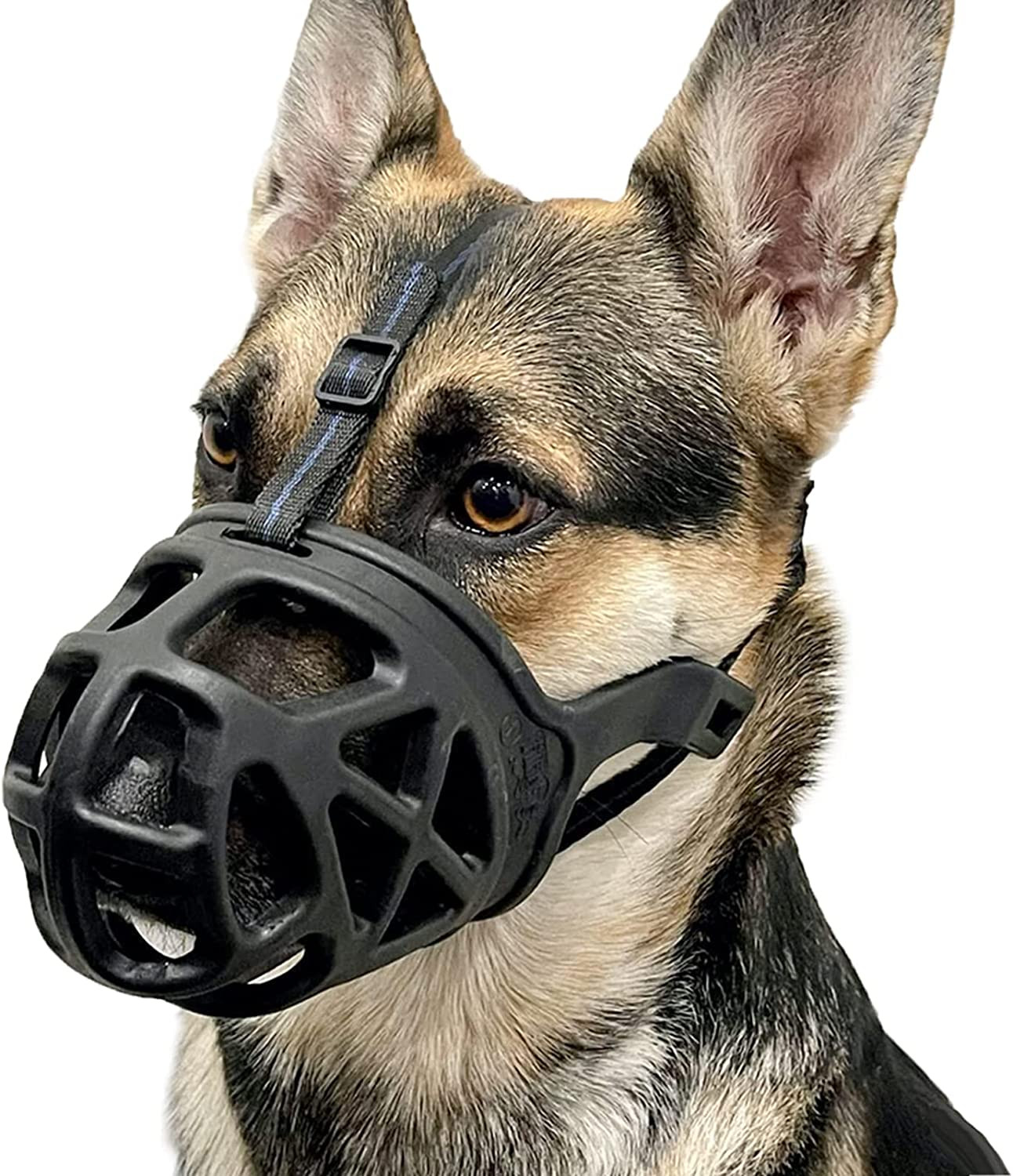 Bozal Para Perros Bozal De Canasta Para Morder Masticar Y Rebuscar Para El Aseo