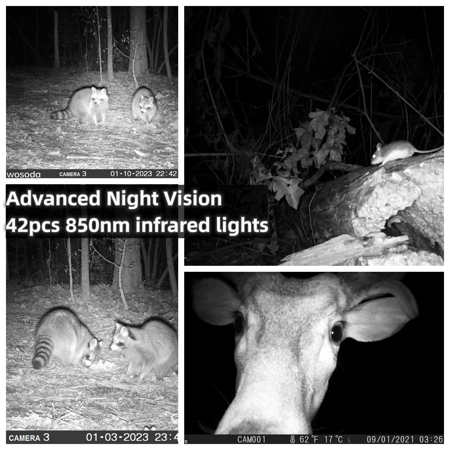 WOSODA 2 Pack Trail Camera with Night Vision Motion Activated Waterproof,30MP...