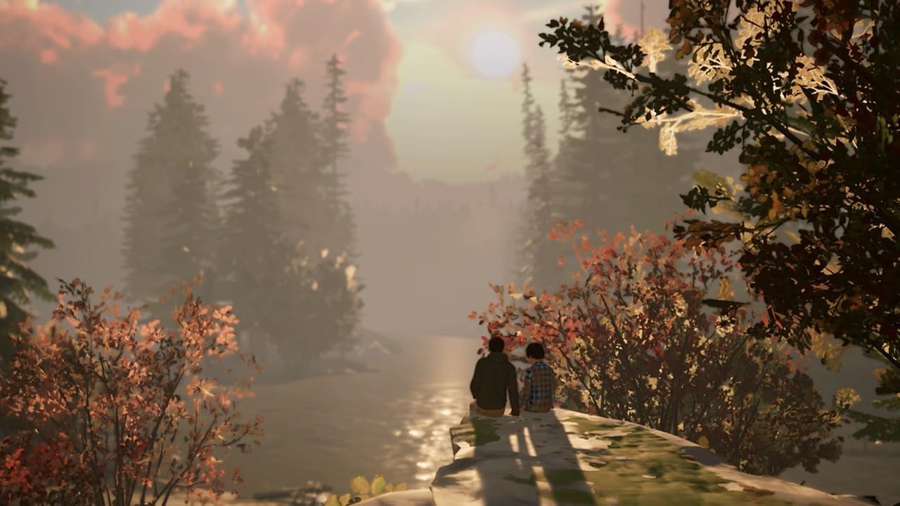 Life is Strange 2 (Nintendo Switch) (Nintendo Switch) (UK IMPORT)