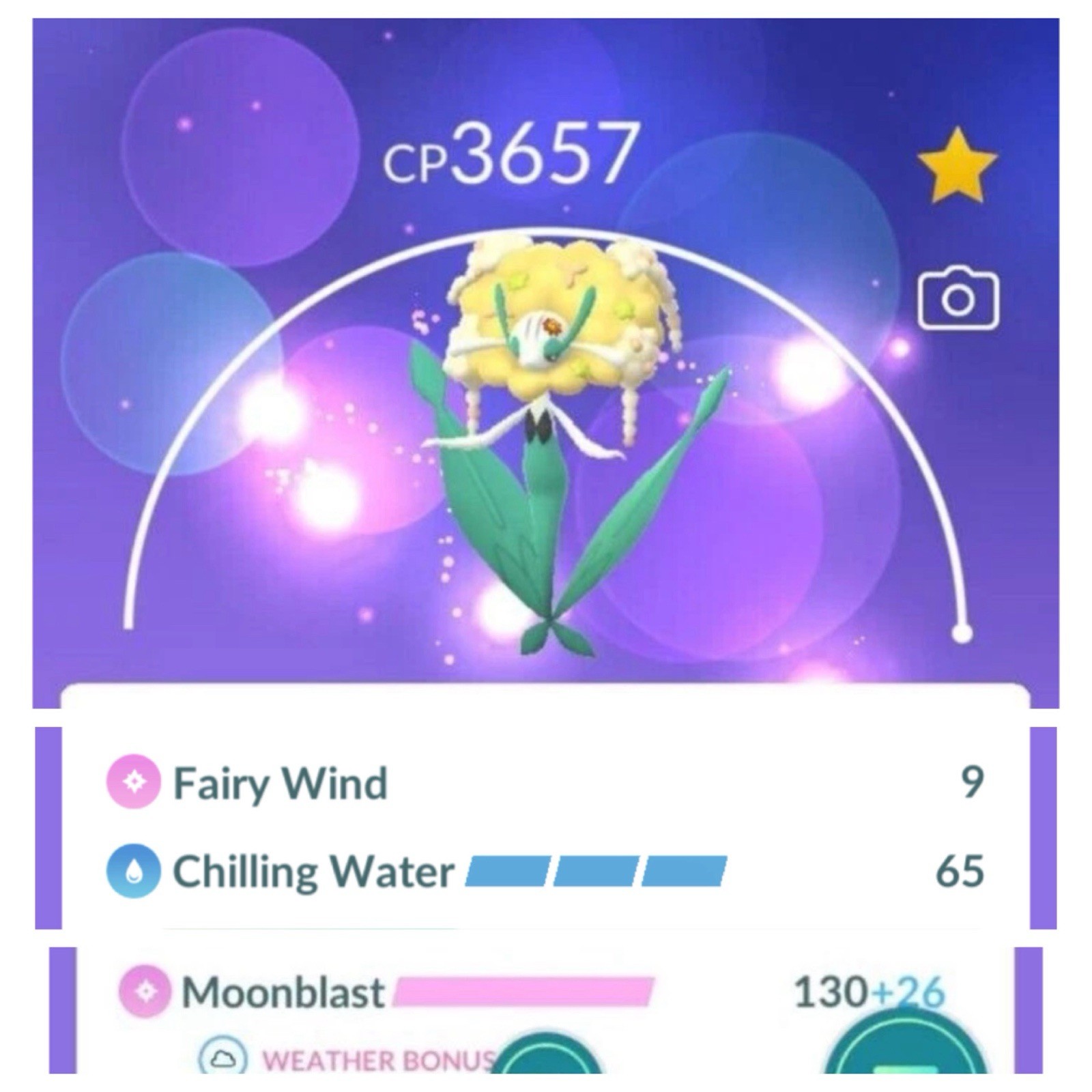 Florges Legacy Chilling Water Level 50  PvP, 2 Charge , Master League PKMN Go