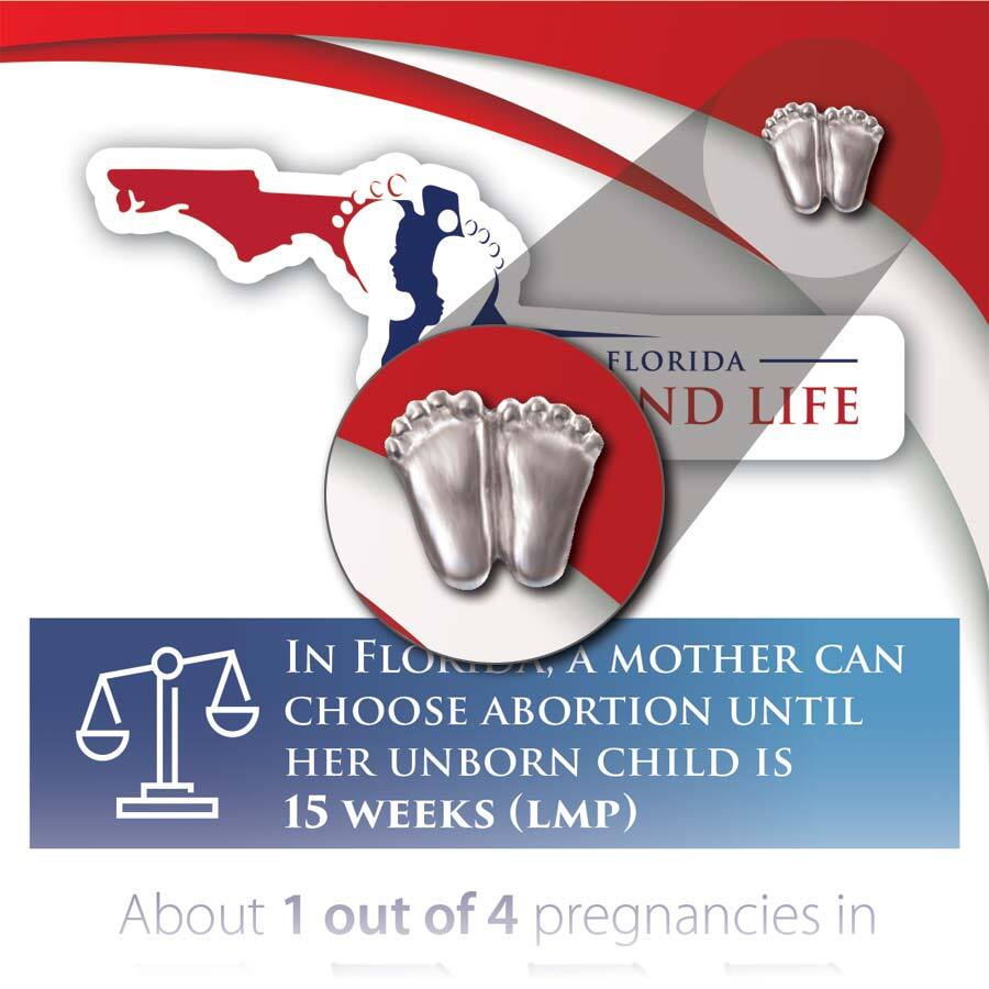 Precious Feet, Silver-Colored, Florida Stats Card Jewelry, Lapel Pin
