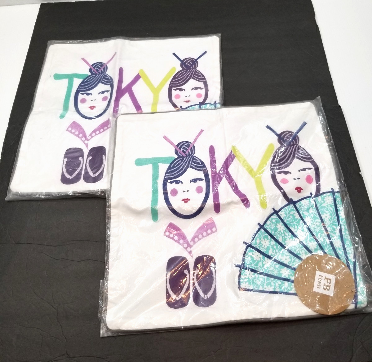 Lot of 2 Pottery Barn Teen Destination Tokyo Embroidery Pillow Covers 18" x 18"