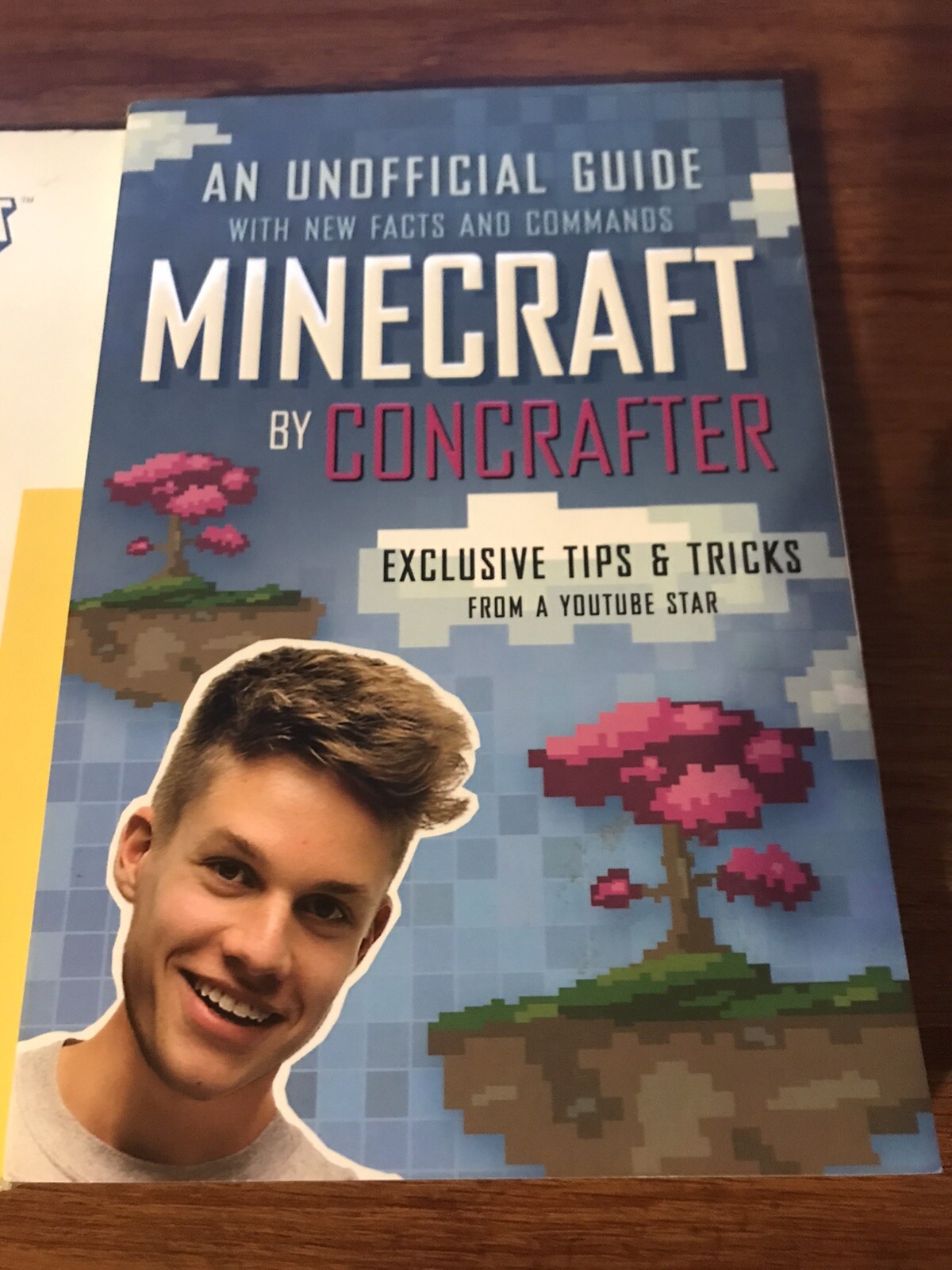 Minecraft books lot (3) - EUC Mega Builder Concrafter Mojang Creative