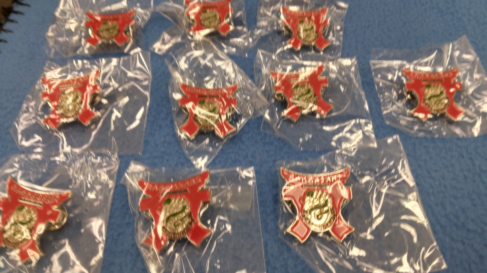 LOT OF 10 - RAKKASANS ASSURGAM PINS - NEW - SEALED