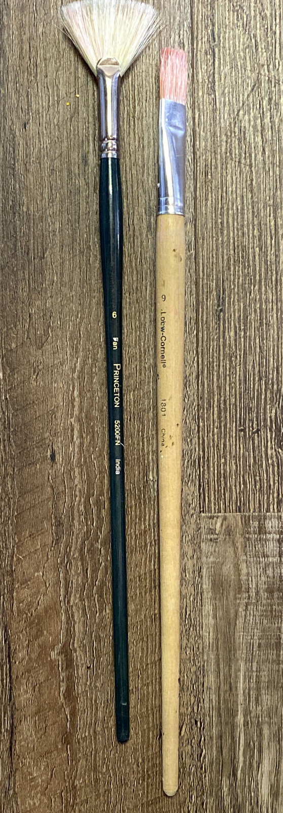 2 Princeton 5200FN India 6100 Brush #6 Fan/Locw-Cornell 1801 Painting Artist Art