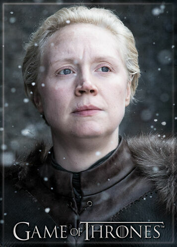 GAME OF THRONES BRIENNE OF TARTH PHOTO MAGNET 2.5” X 3.5” NEW