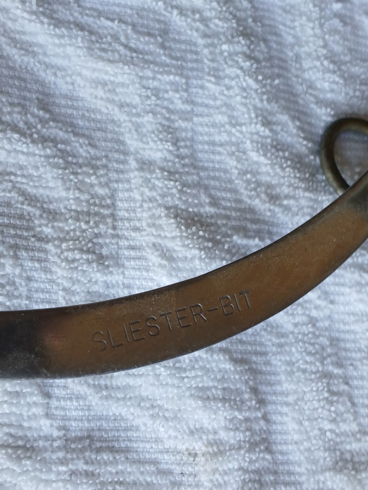 Sleister horse bit