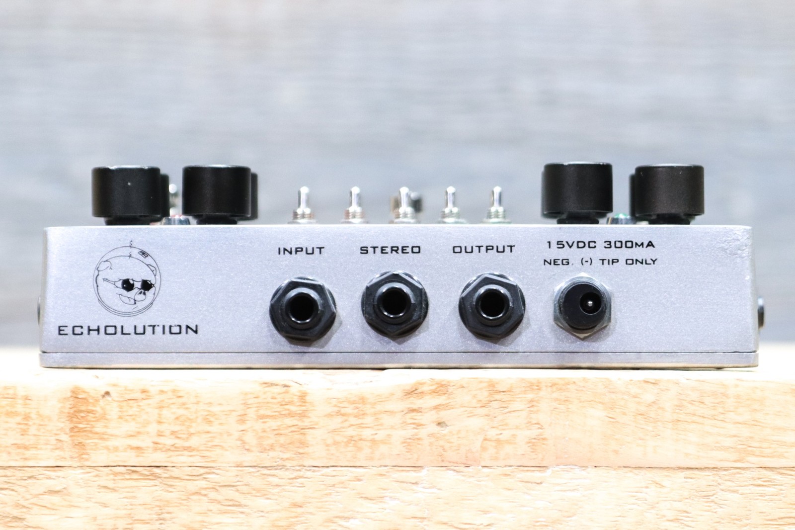 Pigtronix Echolution Unique Analog/Digital Dual Delay Effect Pedal w/Adapter