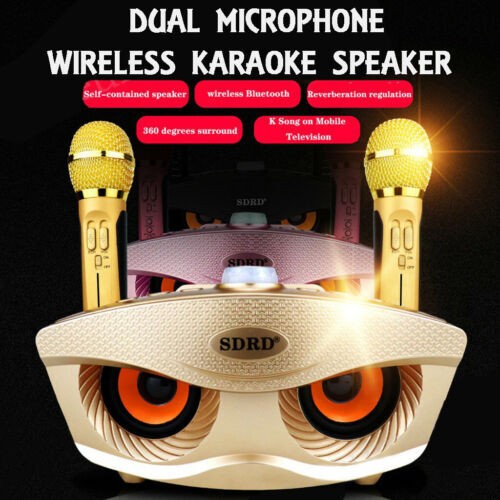 NEW Wireless Bluetooth Karaoke Speaker System 2 Microphone for KTV