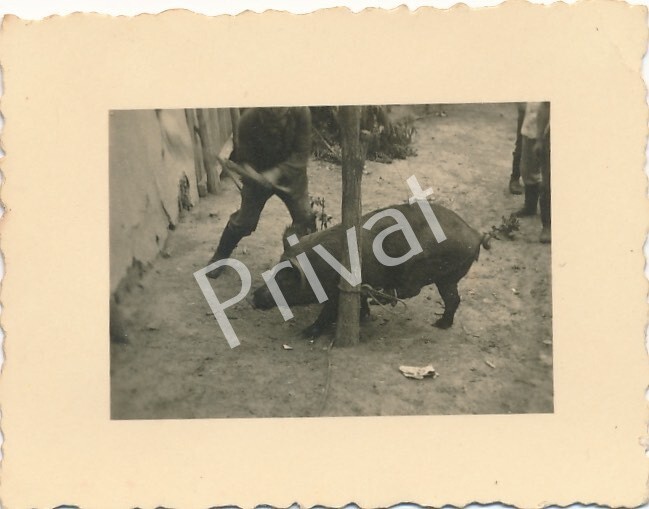 Photo WW II Wehrmacht Soldiers Farmers Advance Fălești Moldova Balkan L1.93