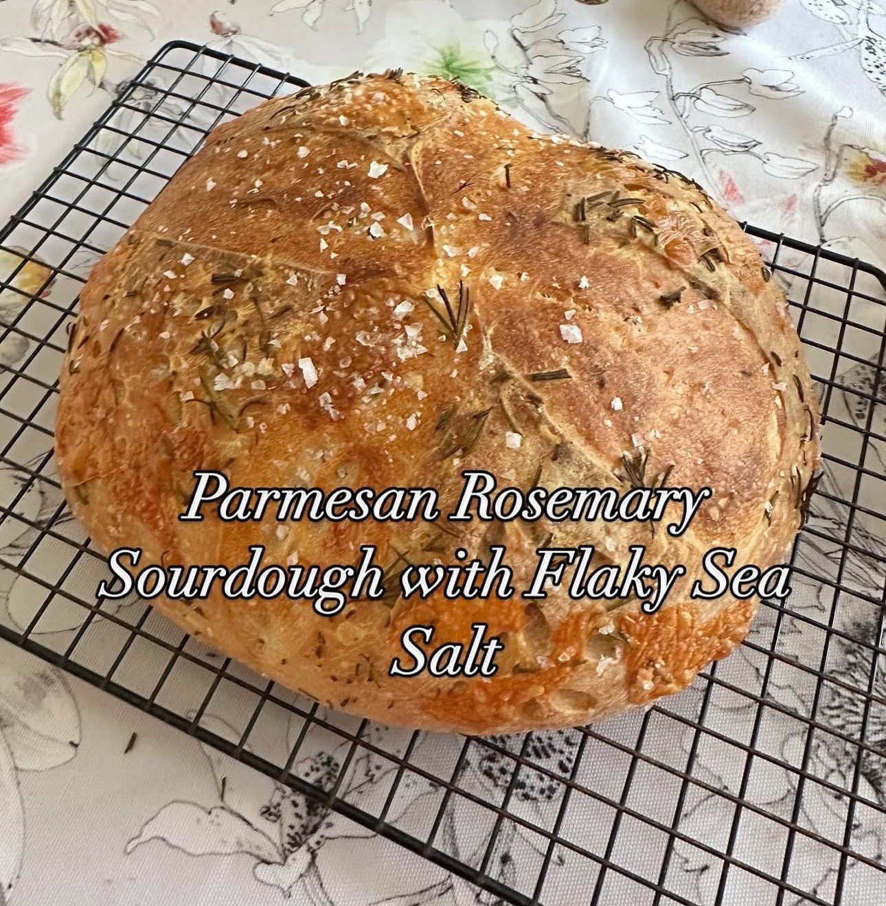 Established Dehydrated Sourdough Starter - wildly active!