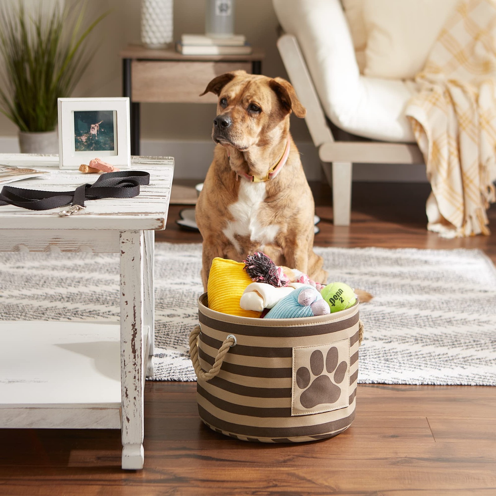 Pet Storage Collection Striped Paw Patch Bin Small Round Brown