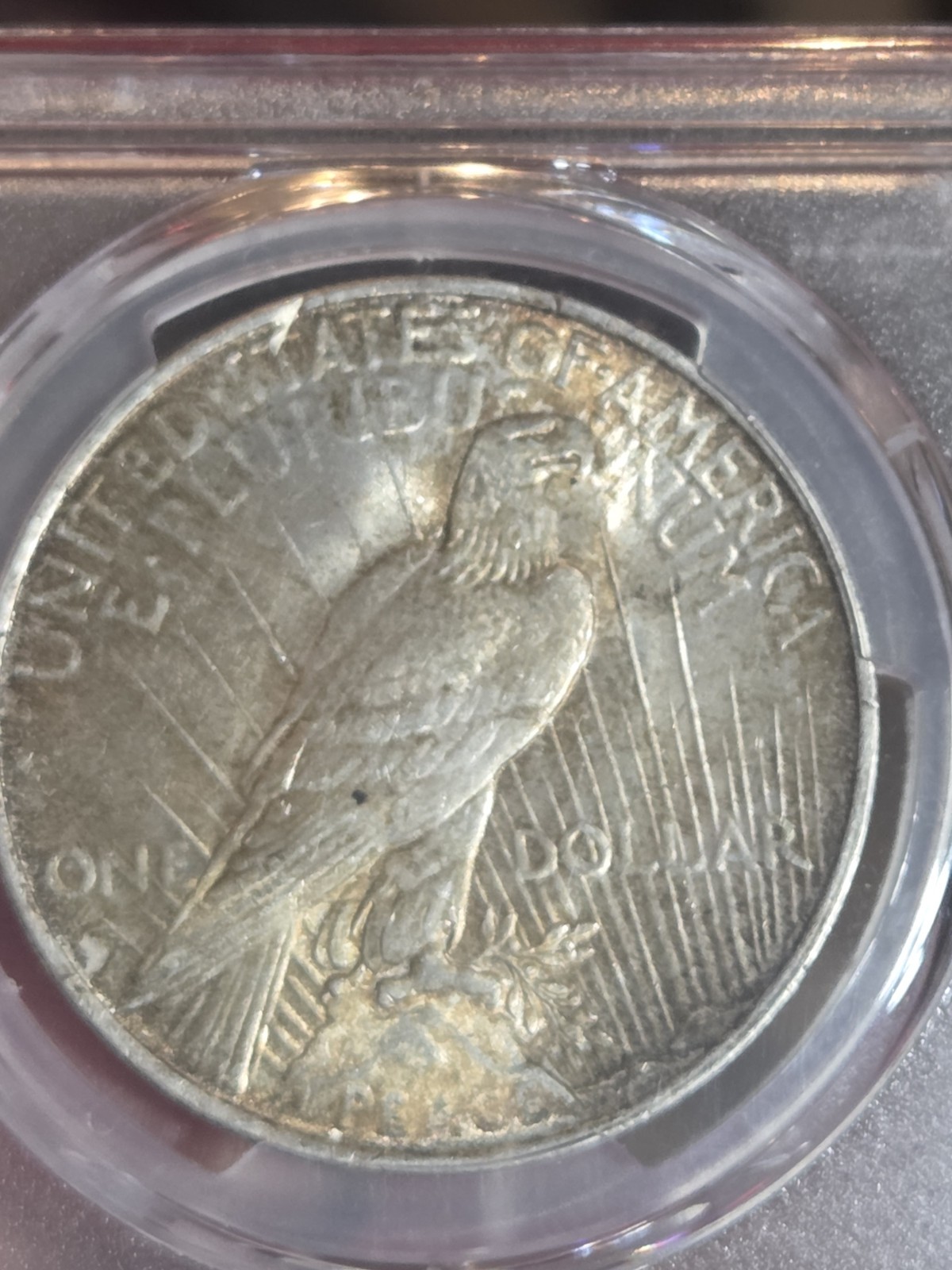 1923 $1 Peace Dollar PCGS MS62 Toned