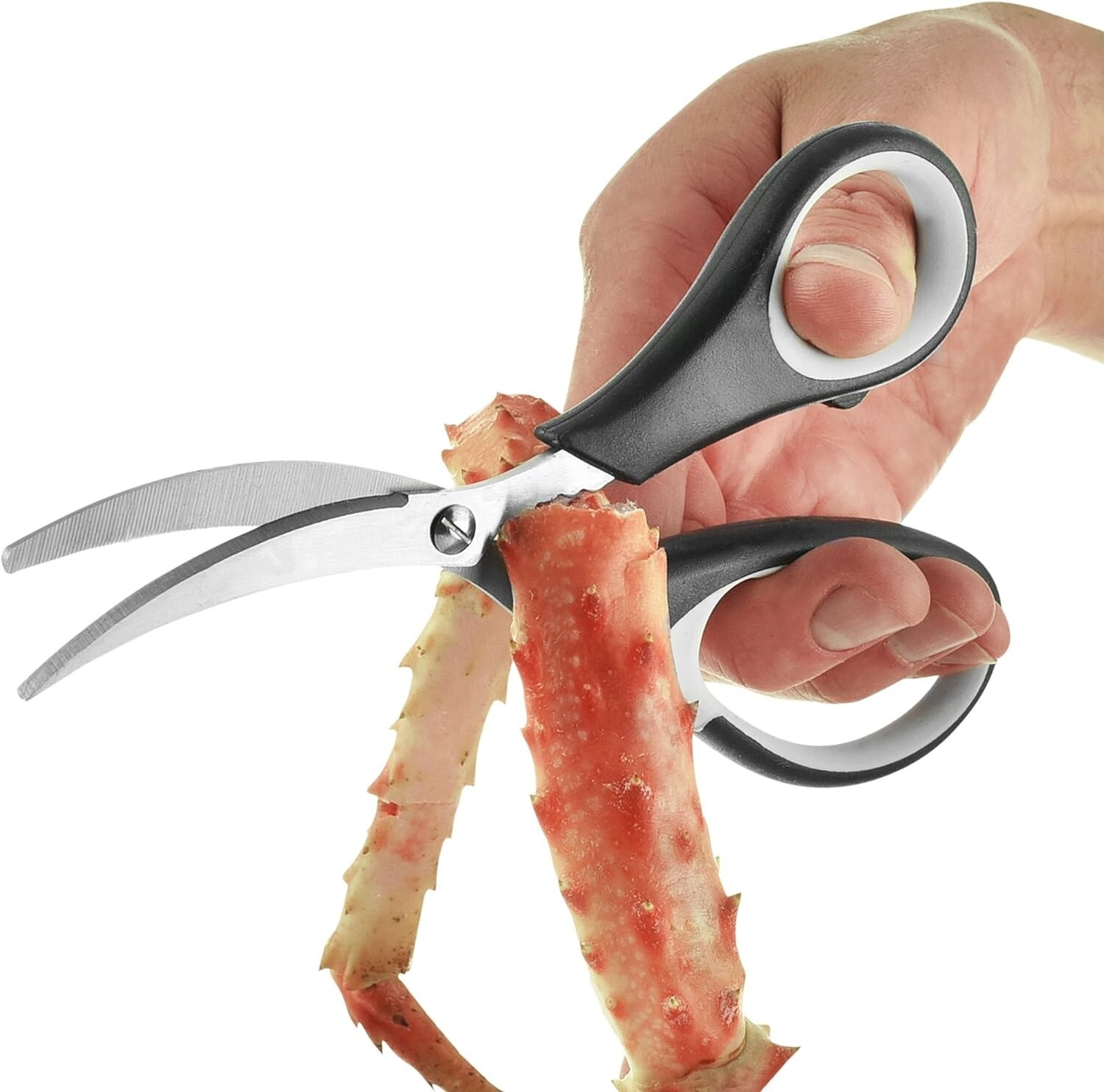 Tijeras de acero Inoxidable para Cocina para Cortar Mariscos , Ultra nítido NEW