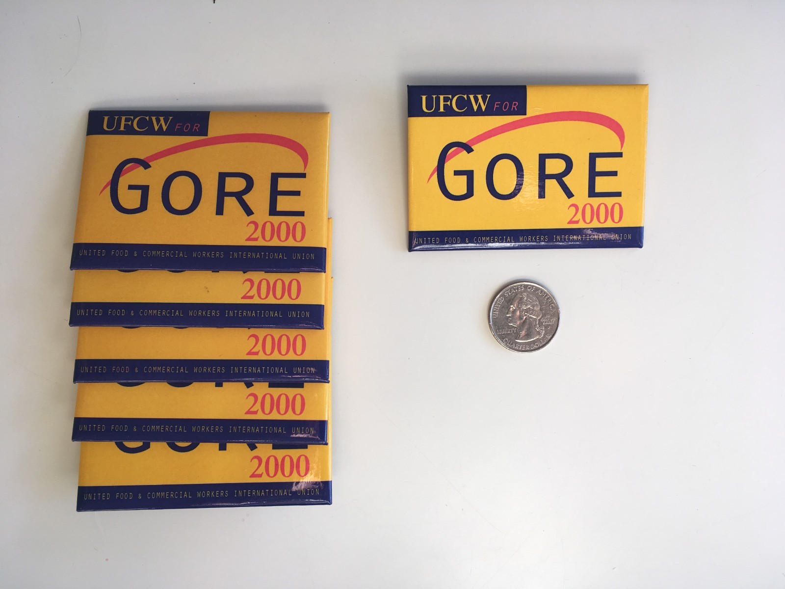 UFCW for Gore 2000 Pin Back Button