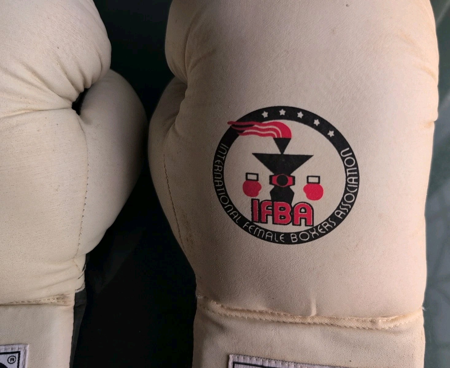 TKO-TECHINICAL KNOCKOUT- IFBA Edition - White BOXING GLOVES-12 OZ W/ Bag