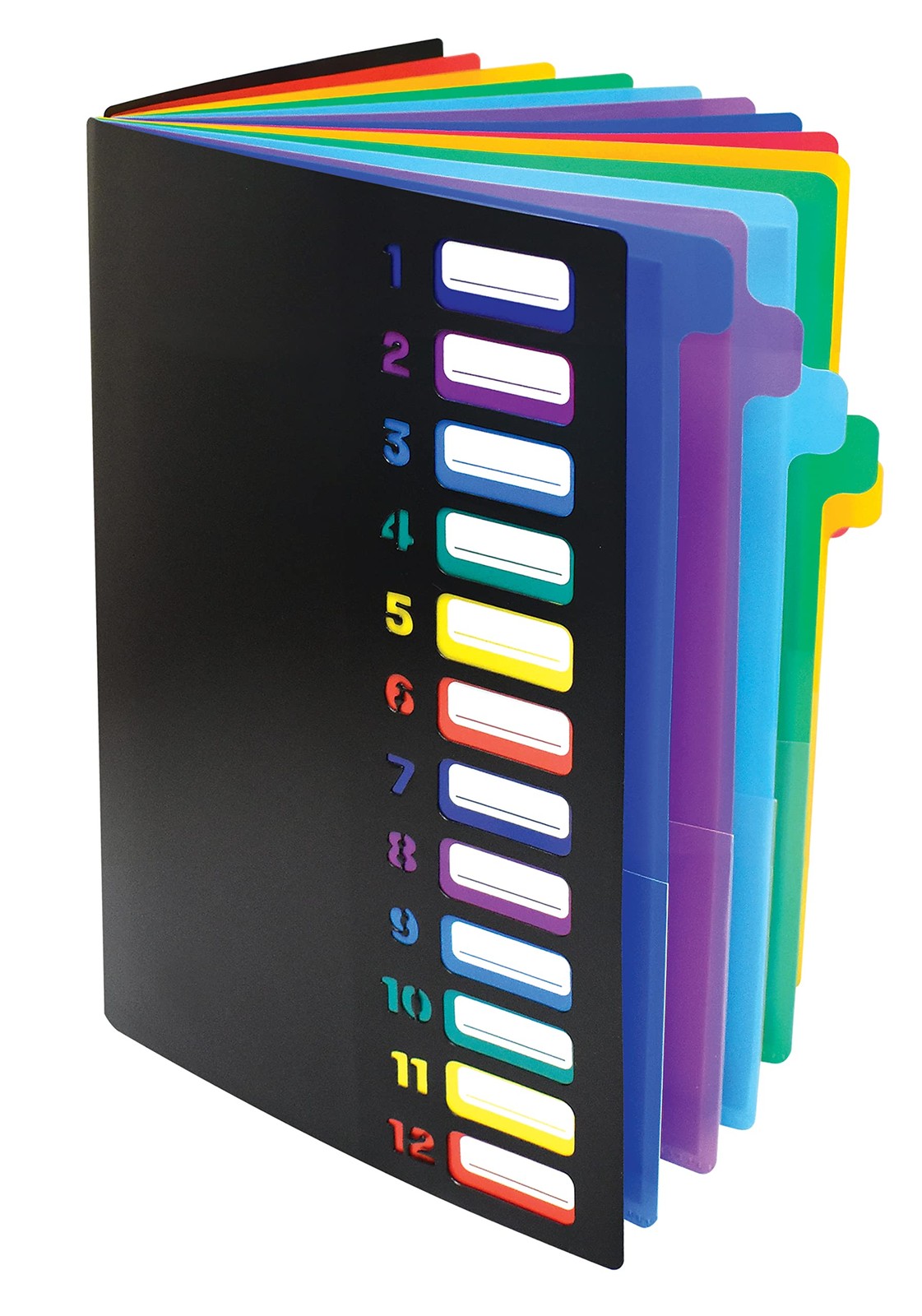 24 Clear Pocket Expanding File Folder with 12 Colored Tabs, Letter Size, Hold...