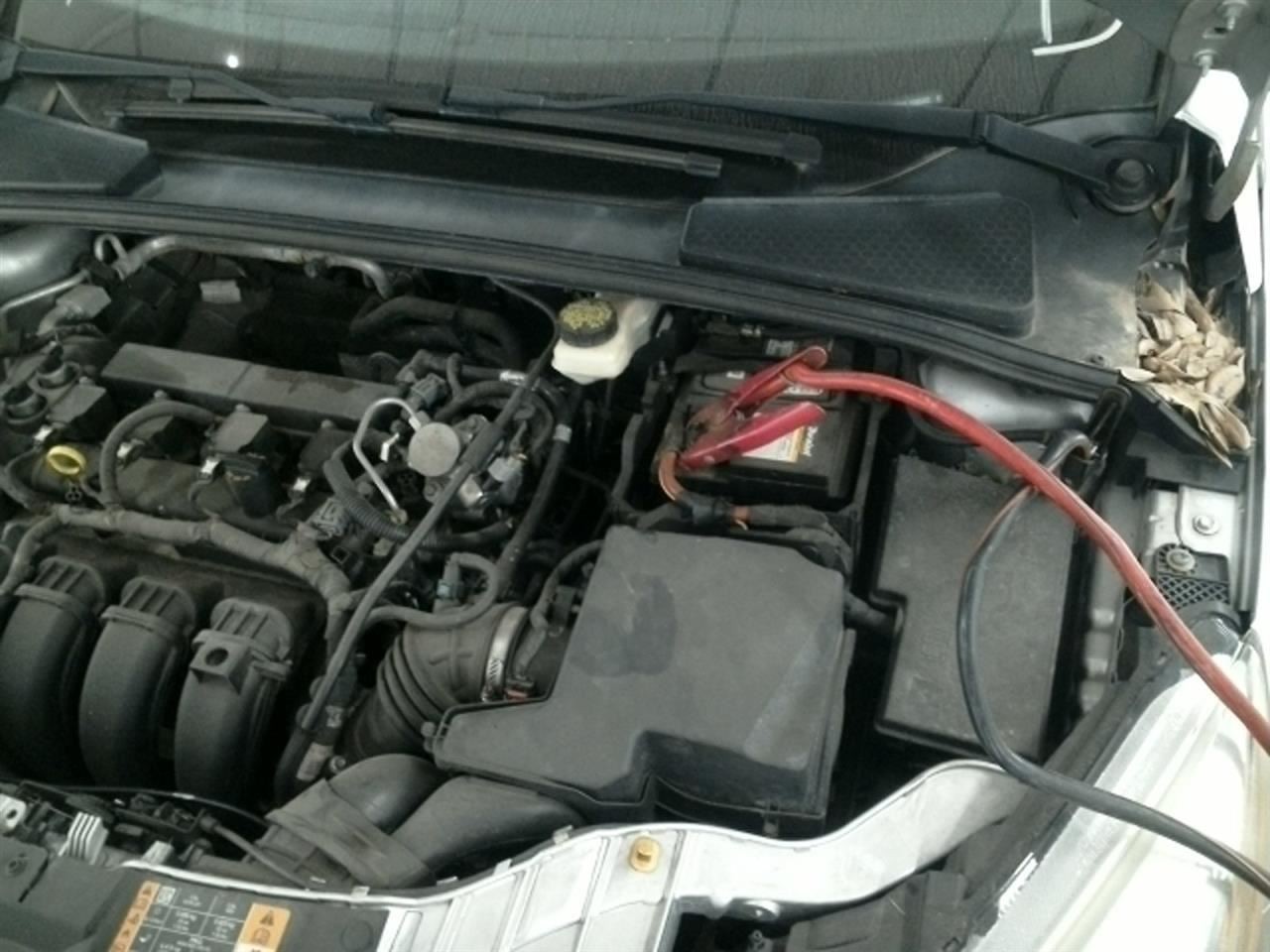 Driver Front Spindle/Knuckle ABS Electric EV Fits 12-18 FOCUS 104920762