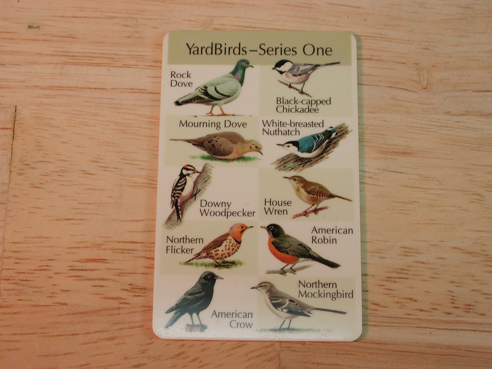 Birdsong Identiflyer - HANDHELD UNIT - player with 5 cards, identifier, tested,
