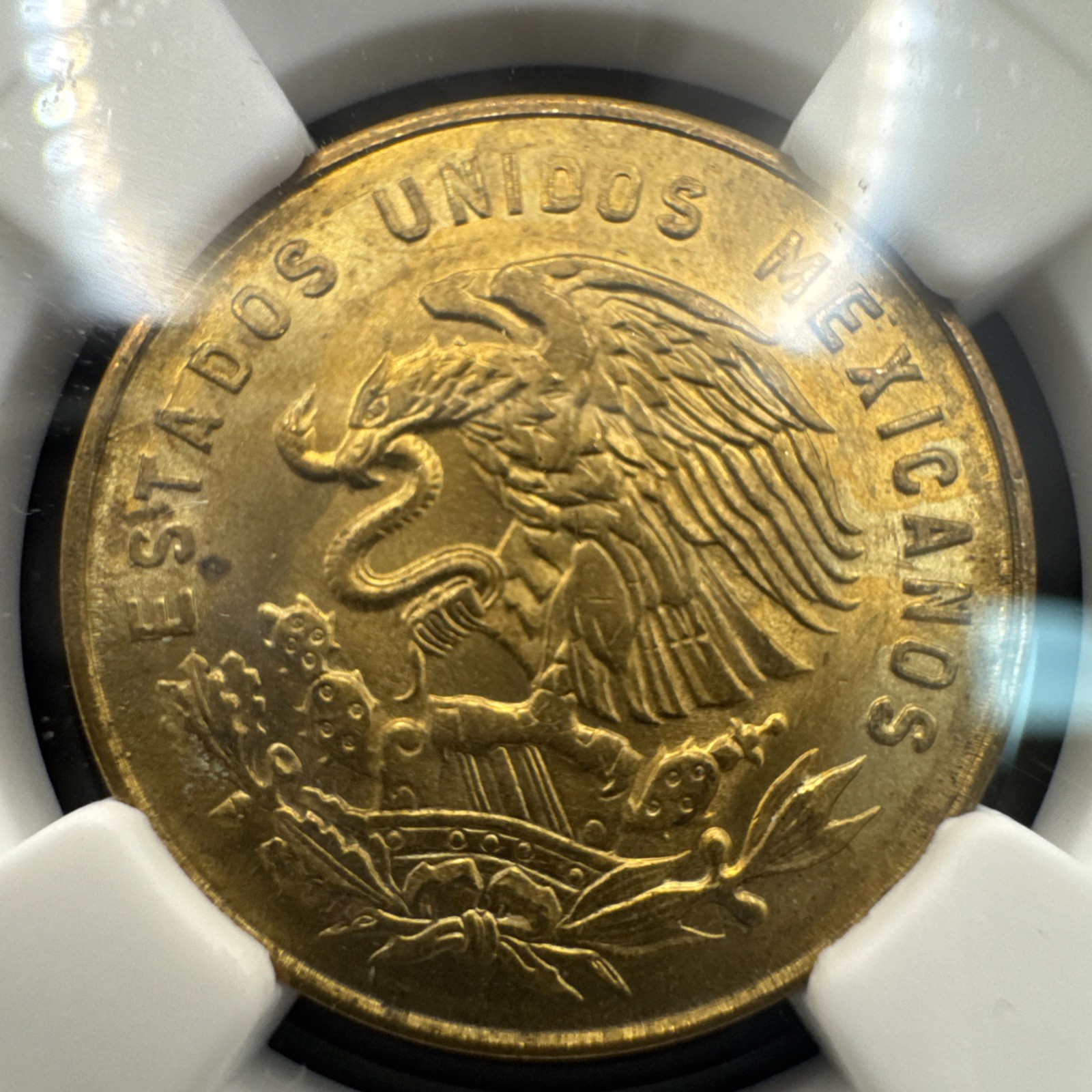 1966 Mo Mexico 5 Centavos Brass Coin NGC BU Brilliant Uncirculated Angel 5C