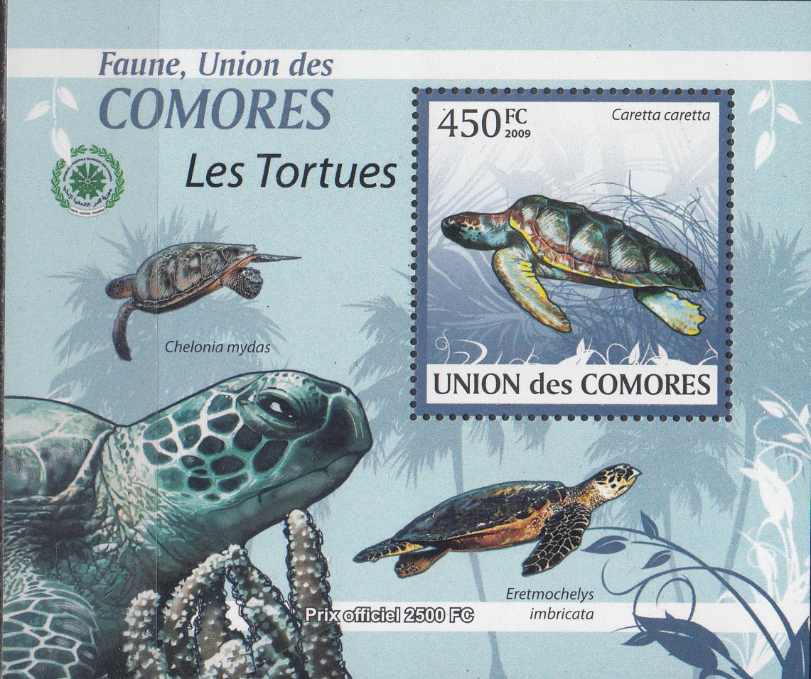 W COMORO Y2009 (02) (1) TURTLES