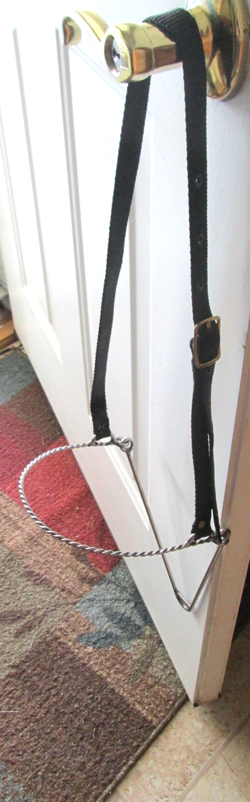 ARABIAN TWISTED WIRE NOSE BAND, TIE DOWN NYLON