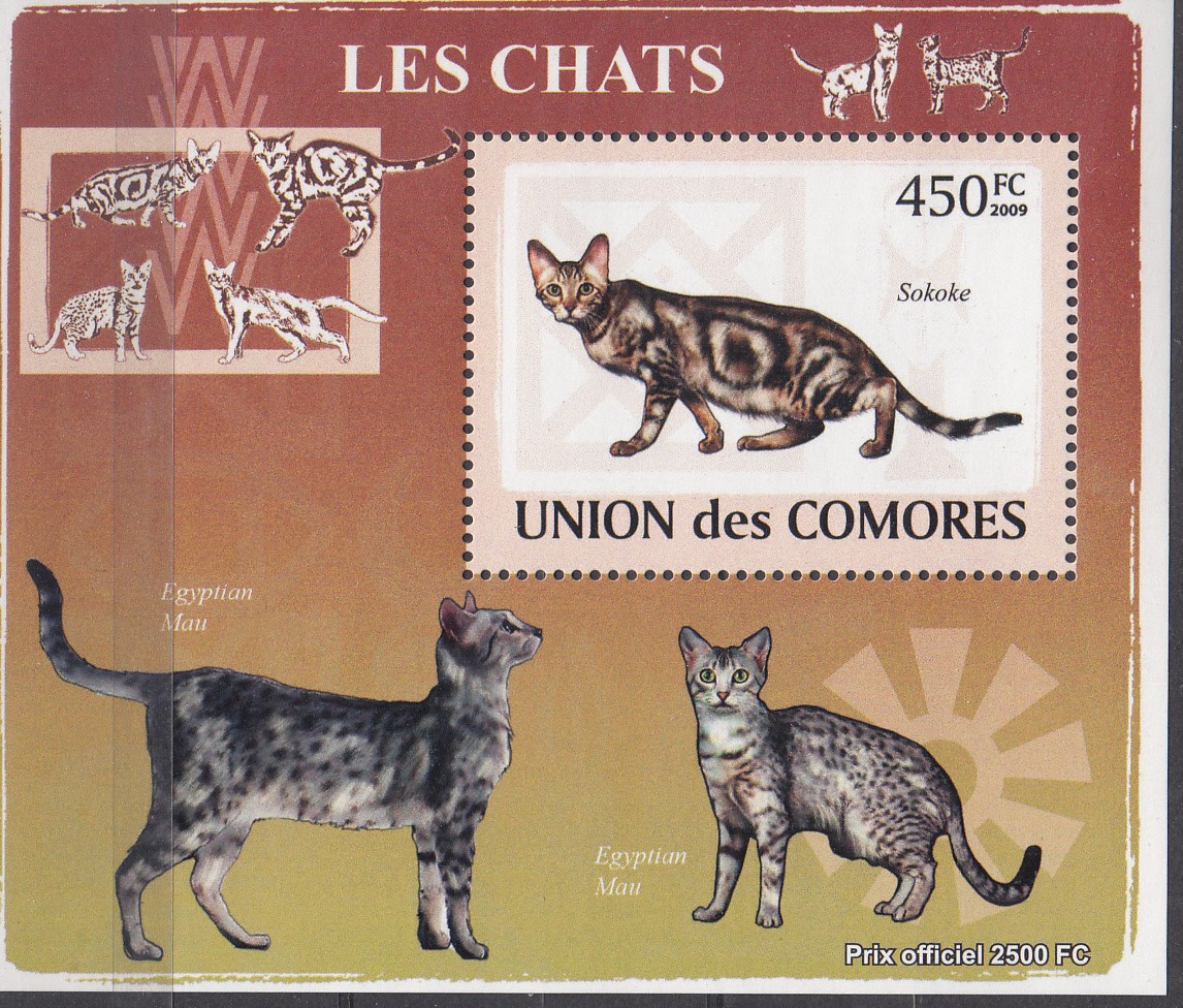 W COMORO Y2009 (50) (3) CATS