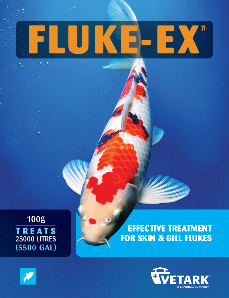 Vetark Fluke Ex 100g Treats Skin & Gill Fluke, Costia, Trichodina. 25000 litres
