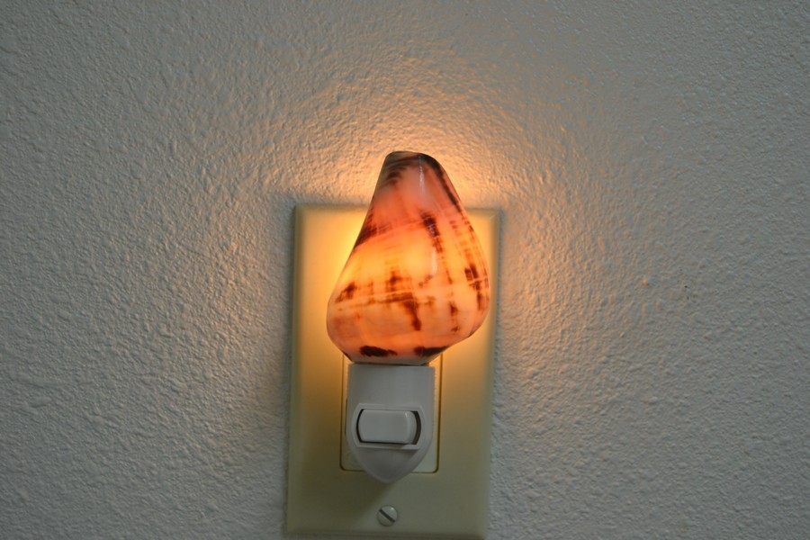 FIBER CONCH SEA SHELL NIGHTLIGHT KITCHEN BATHROOM #7186