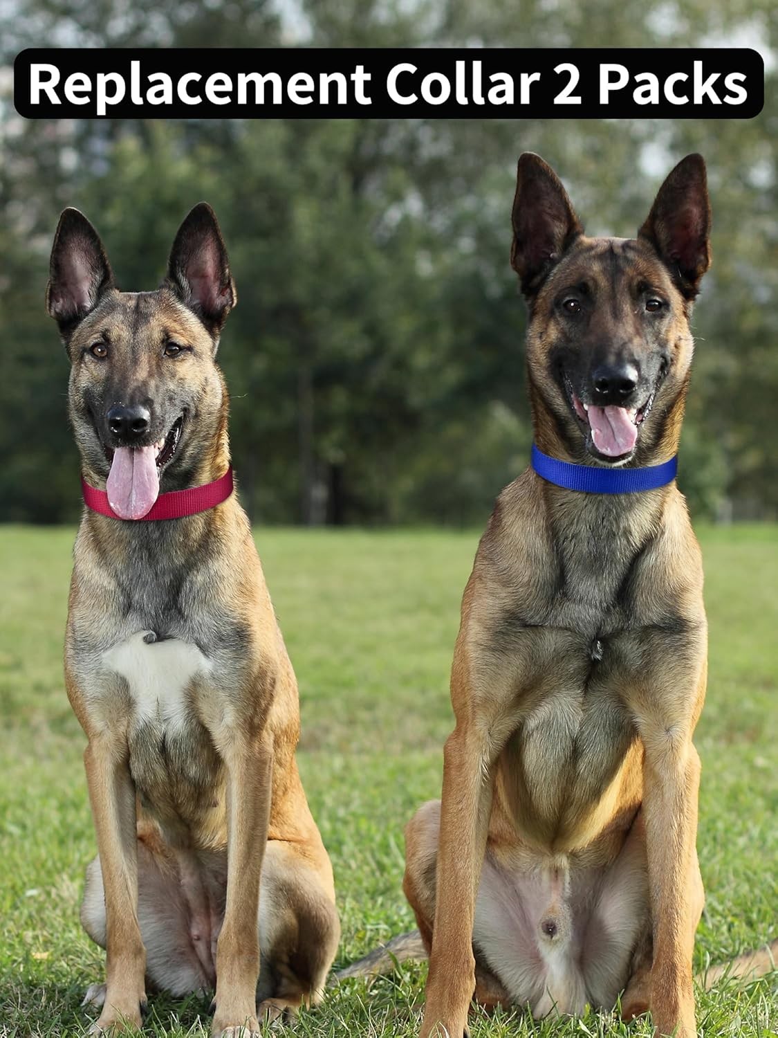 Replacement Collar Strap Bark & Shock Collars 8-27 Inches Adjustable E-Collar