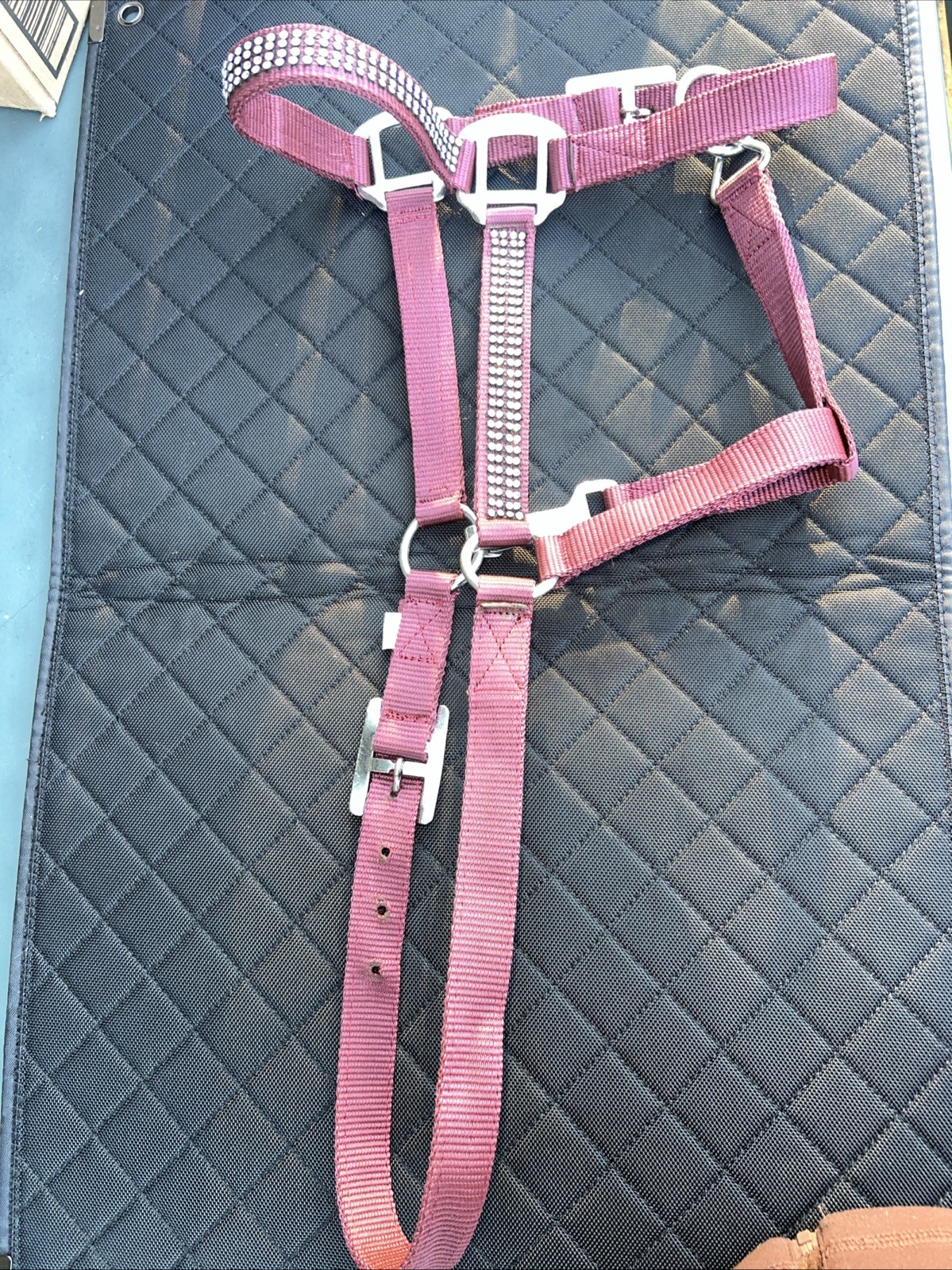 2-Ply Nylon Horse Halter w/ Crystal Rhinestones. Heavy Metal Buckles & Snap- New