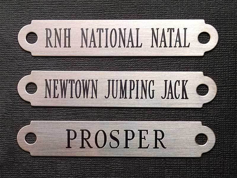 HALTER PLATE MEDIUM 3 1/2"  SOLID NICKEL SILVER CUSTOM ENGRAVED