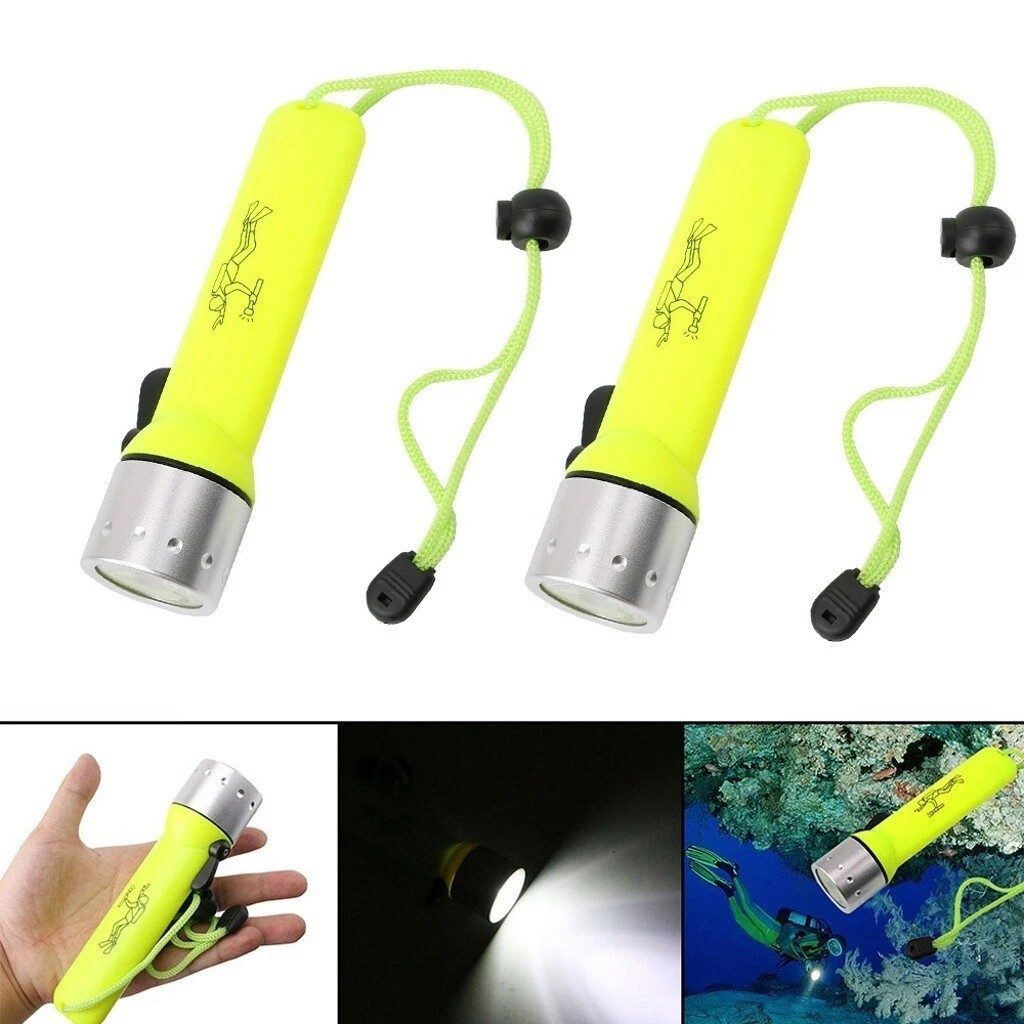2x Waterproof Bright LED Underwater Flashlight Scuba Diving Torch Light
