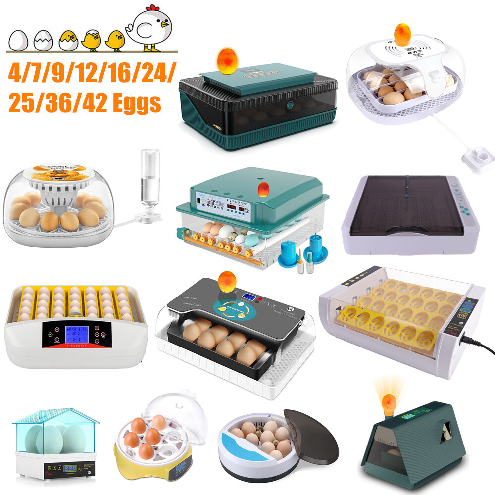 4/7/12/32/36 Egg Incubator for Hatching Bird Chicken Hatcher Auto/Manual Turning