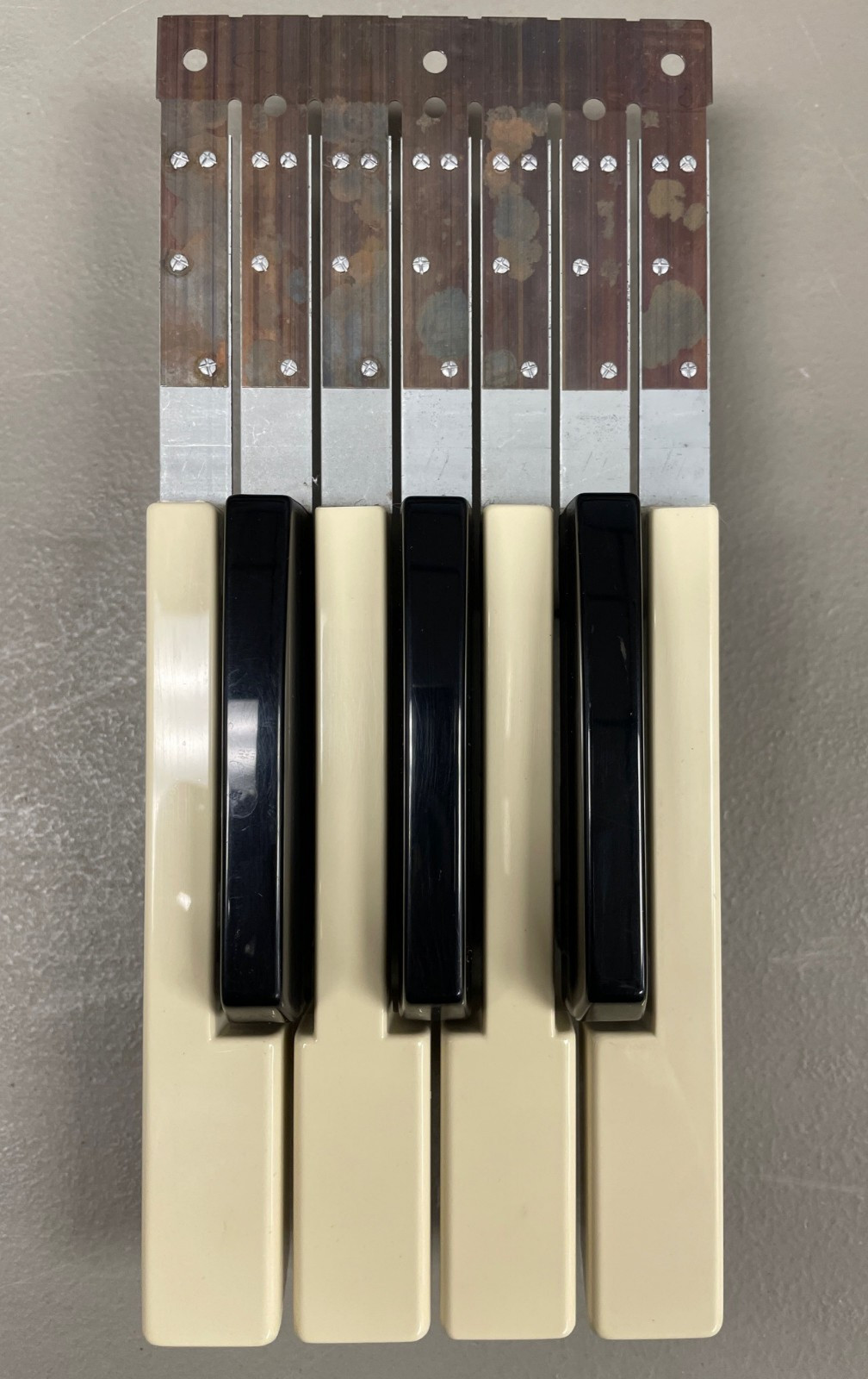 Hammond Commodore Organ Keys-4 White 3 Black