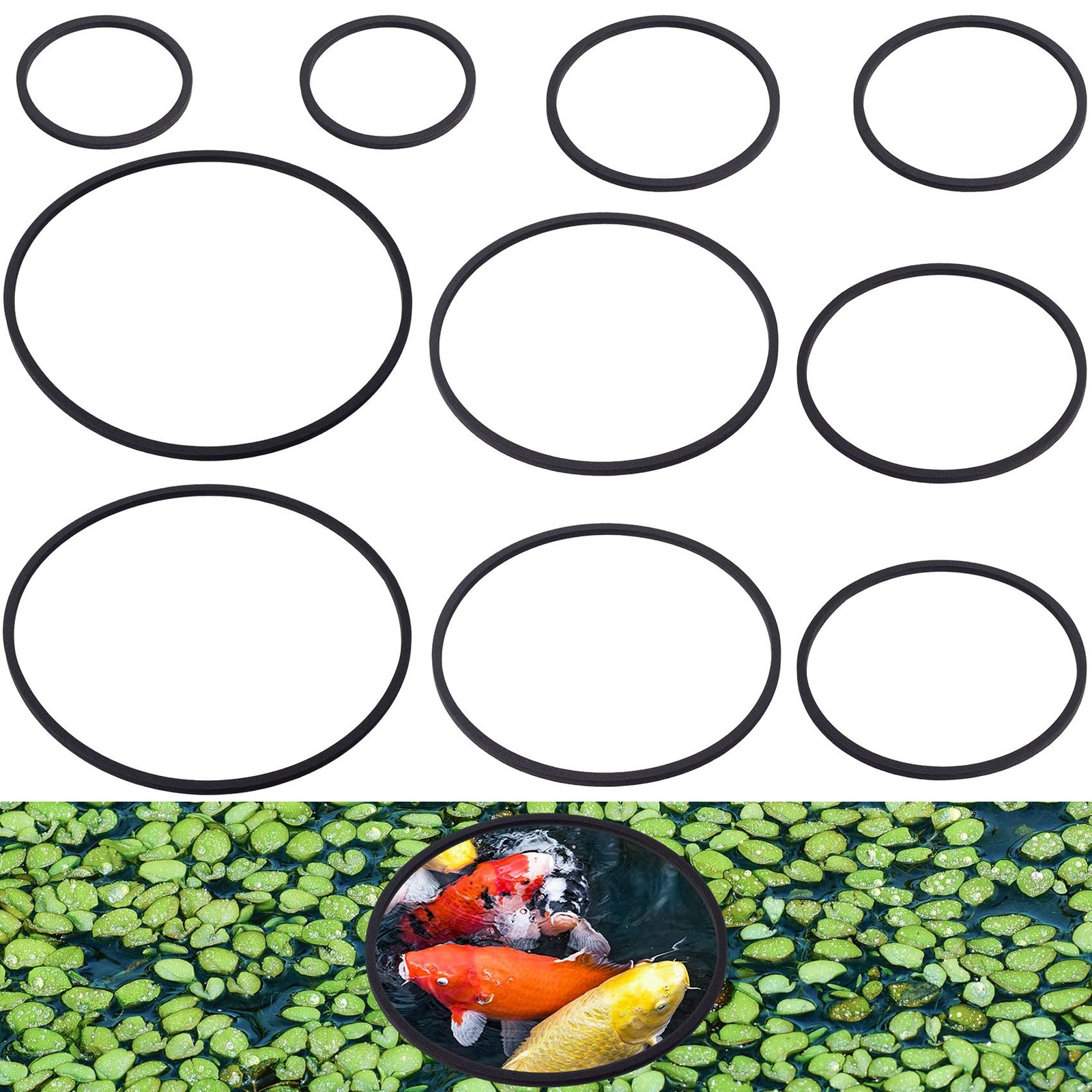 PAGOW 10pcs Fish Feeding Rings Set, Floating Aquarium 9cm/3.54, Black(round)