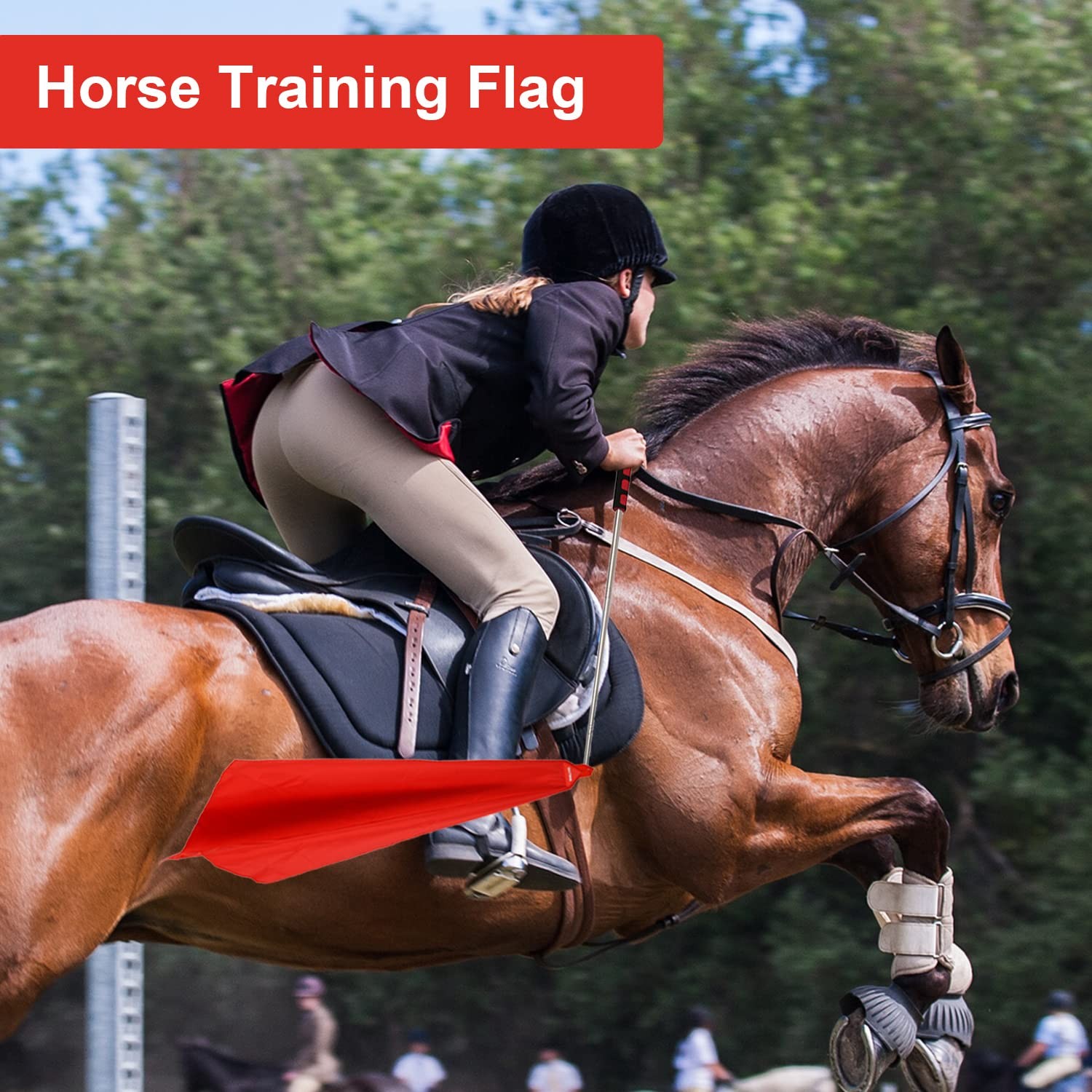 GAITWIN Horse Training Flag Equipment 5 Pcs with 1Pcs Telescopic Multiple