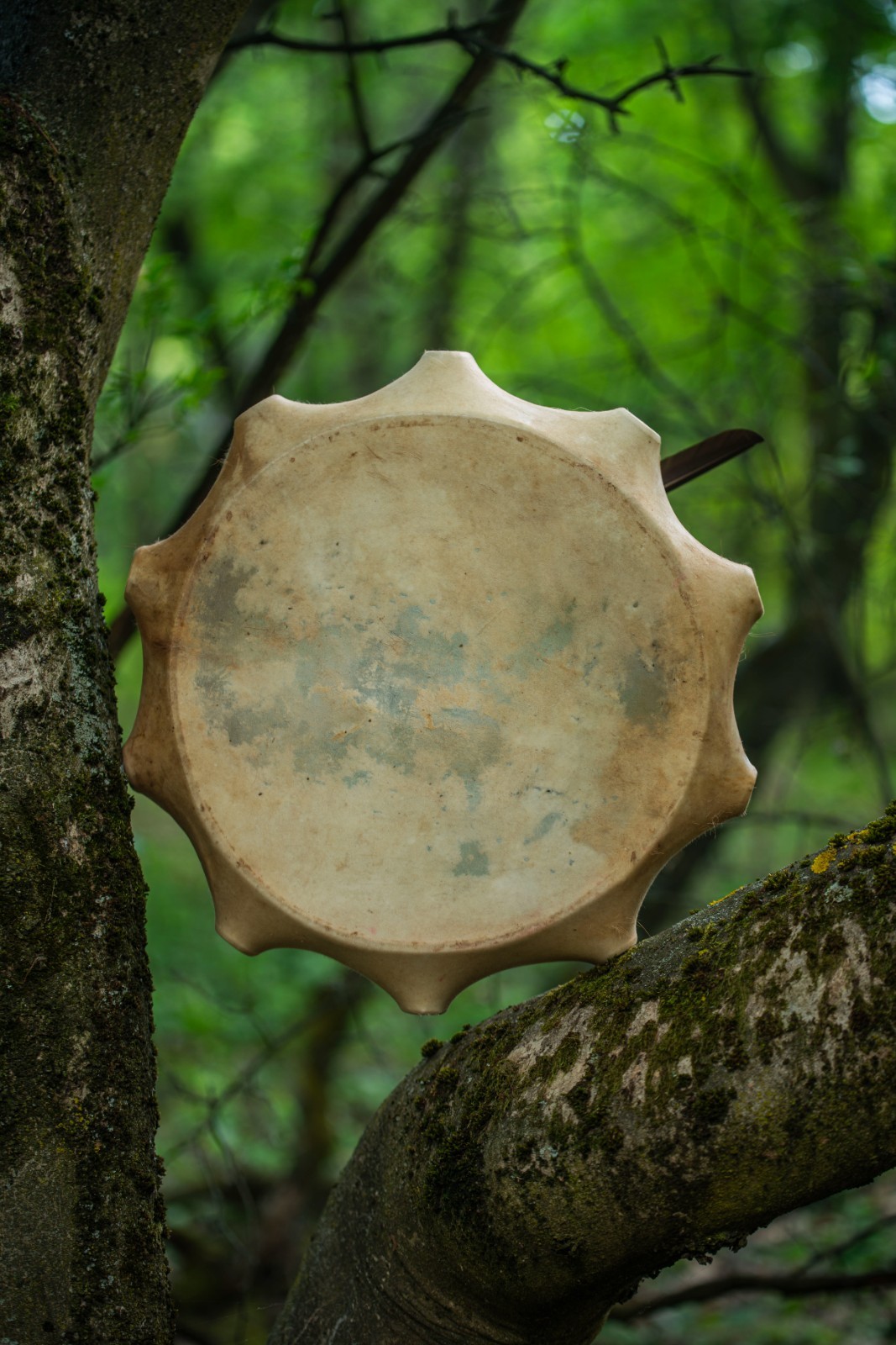 15″ Handmade Deer Hide Shaman Drum with Roe Deer Antler Handle