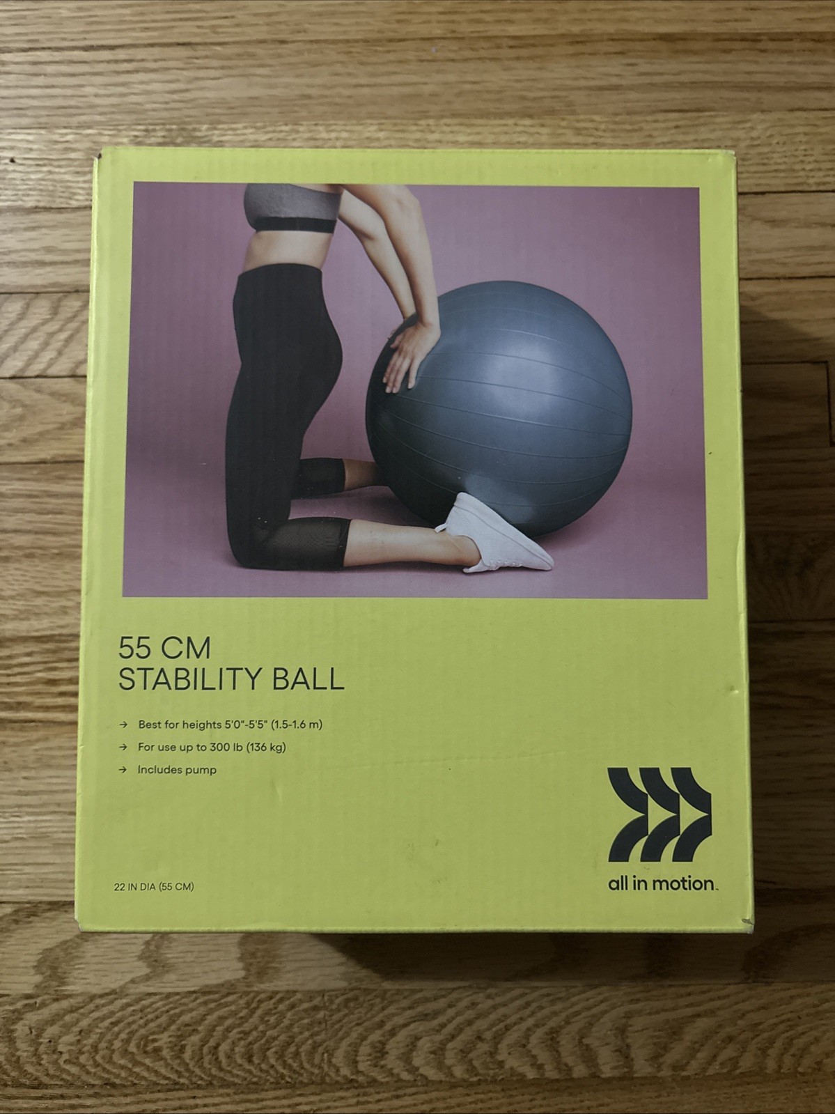 All In Motion 75CM Stability Ball Gray With Air Pump NEW