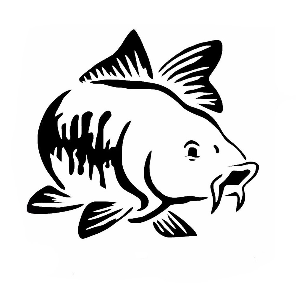 LARGE Carp Fishing Car Window bumper laptop sticker Vinyl Decal Angling Fishing