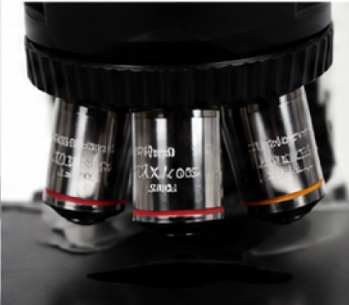 Olympus BX41 Pathology Microscope – Complete 6-Objective Professional Lab Micros