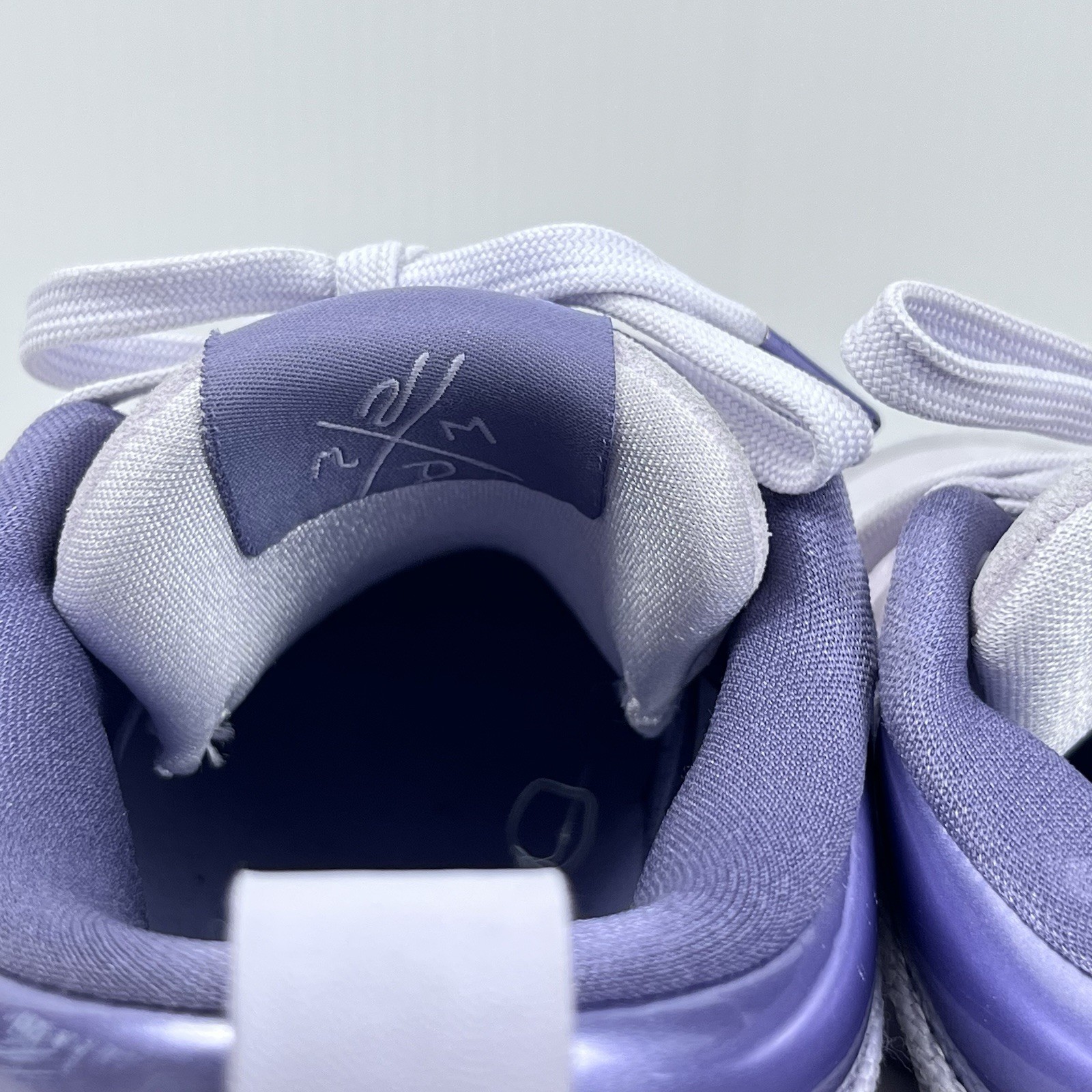 Nike Men's Book 1 Basketball Men’s 9.5 Women’s 11 Barely Grape |FJ4249-500|