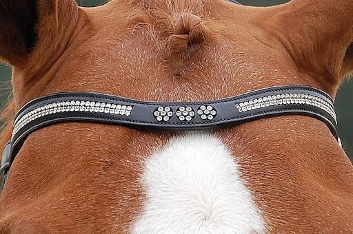 Dion Leather Browband - Flower Swarovski